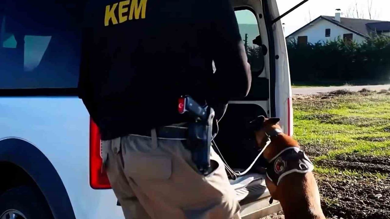 Bolu'da 14 Adrese Uyuşturucu Operasyonu: 3 Tutuklama