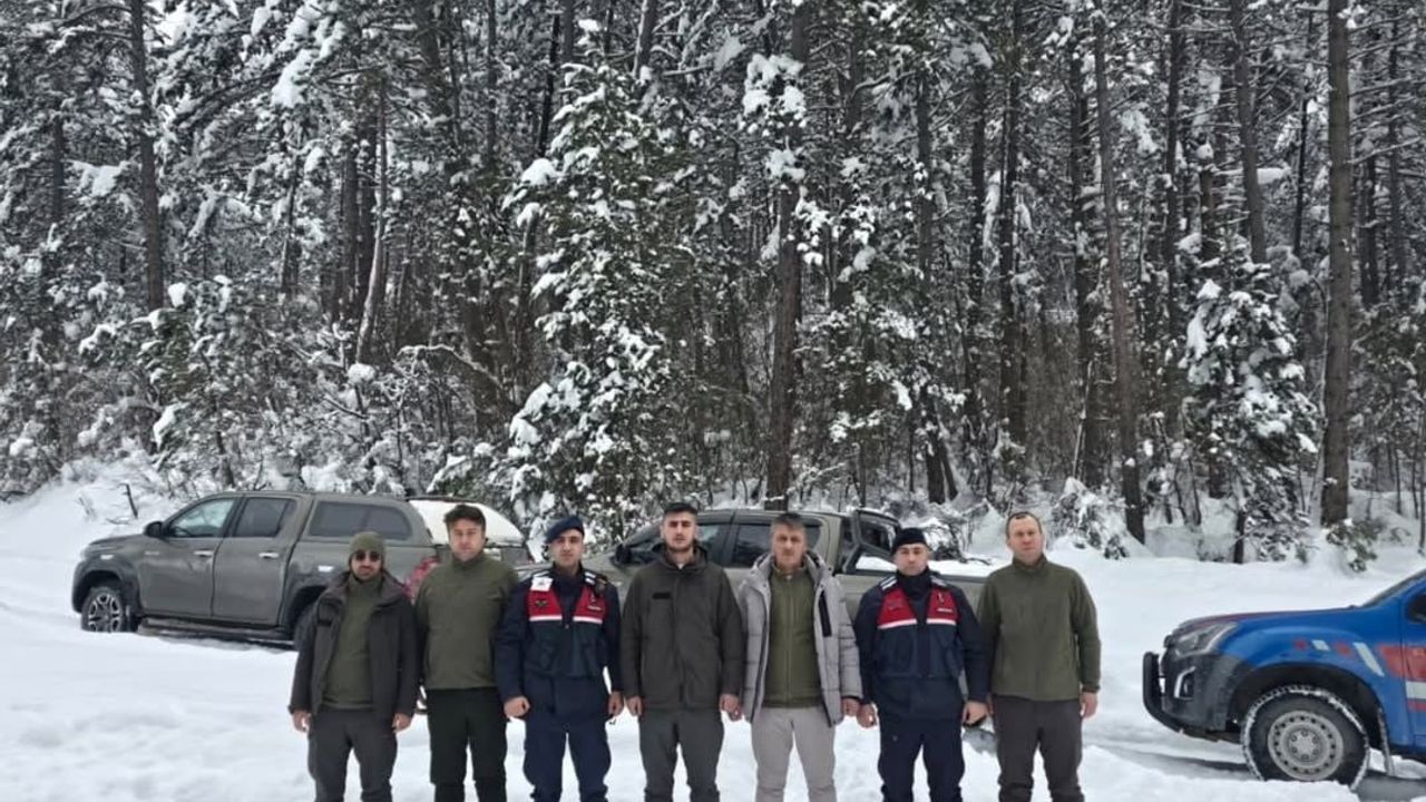 Bolu'da Kaçak Avcılığa Geçit Yok: Doğa Koruma ve Kolluk Ekipleri Denetimde