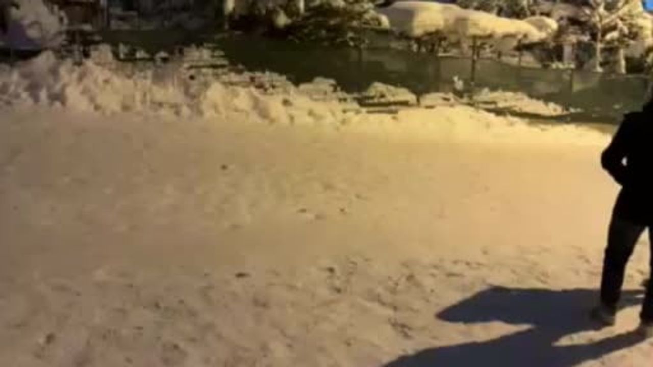 Bolu'da Kar Tatili: Çocuklar Gece Boyunca Şambrellerle Eğlendi