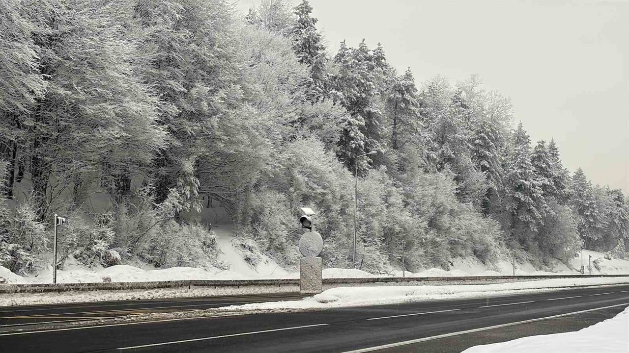 Bolu Dağı'nda Kar Yağışı: D-100'de Ulaşım Etkileniyor