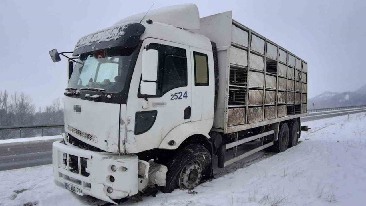 Bolu Mudurnu'da Kamyon ile Hafif Ticari Araç Çarpıştı: 2 Yaralı