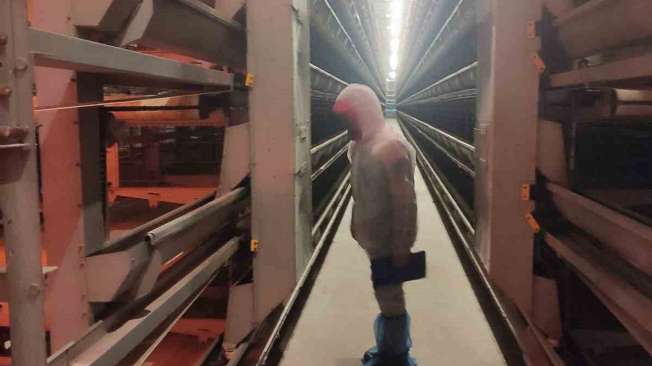 Bolvadin'de Kanatlı Hayvan ve Yumurta Üretim Tesislerine Denetim