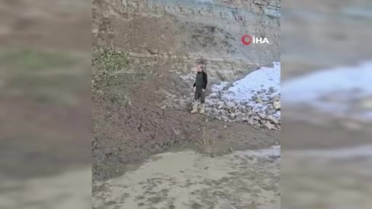 Bozkurt'ta Çamura Saplanan Karaca Orman Ekipleri Tarafından Kurtarıldı