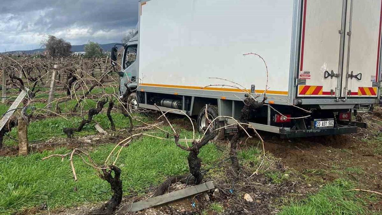 Buldan'da Kamyon Üzüm Bağına Girdi: Can Kaybı Yaşanmadı