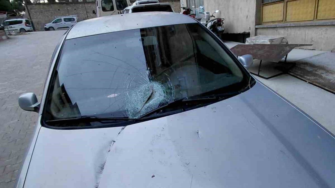 Buldan'da Şiddetli Fırtına: Ağaçlar Devrildi, Bacalar Uçtu