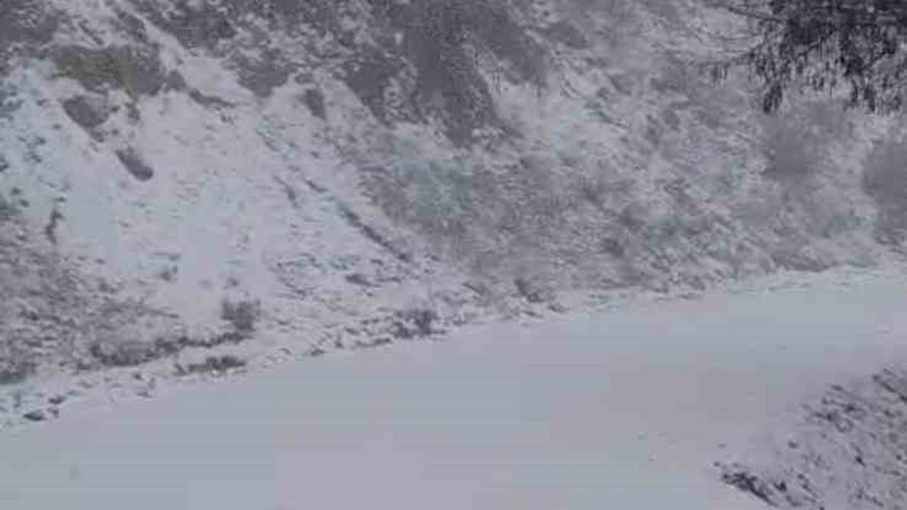 Buldan'da Yazın Yanan Orman Karda Beyaza Büründü