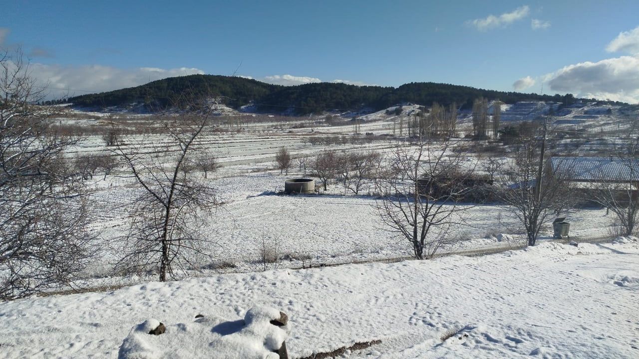 Buldan'da yılın ilk karı üreticileri sevindirdi