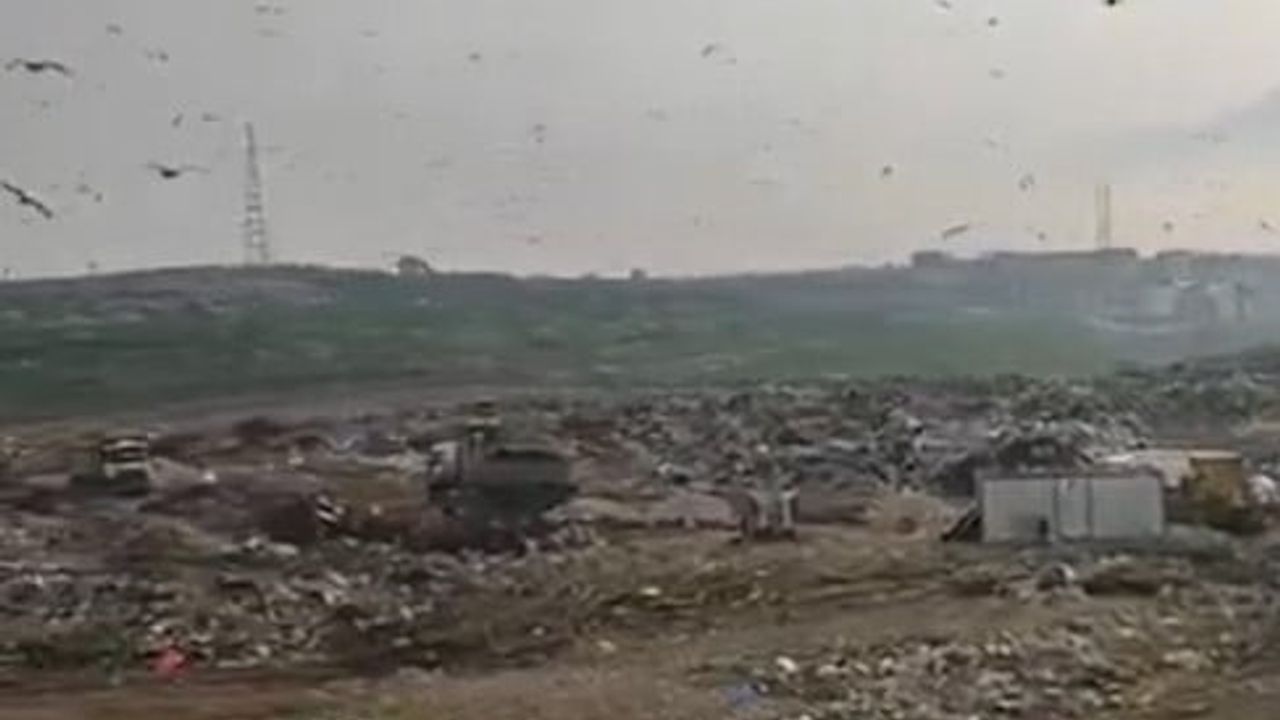 Bursa Büyükşehir Belediyesi'ne 1 milyon 869 bin TL ceza: Yenikent'te vahşi depolama