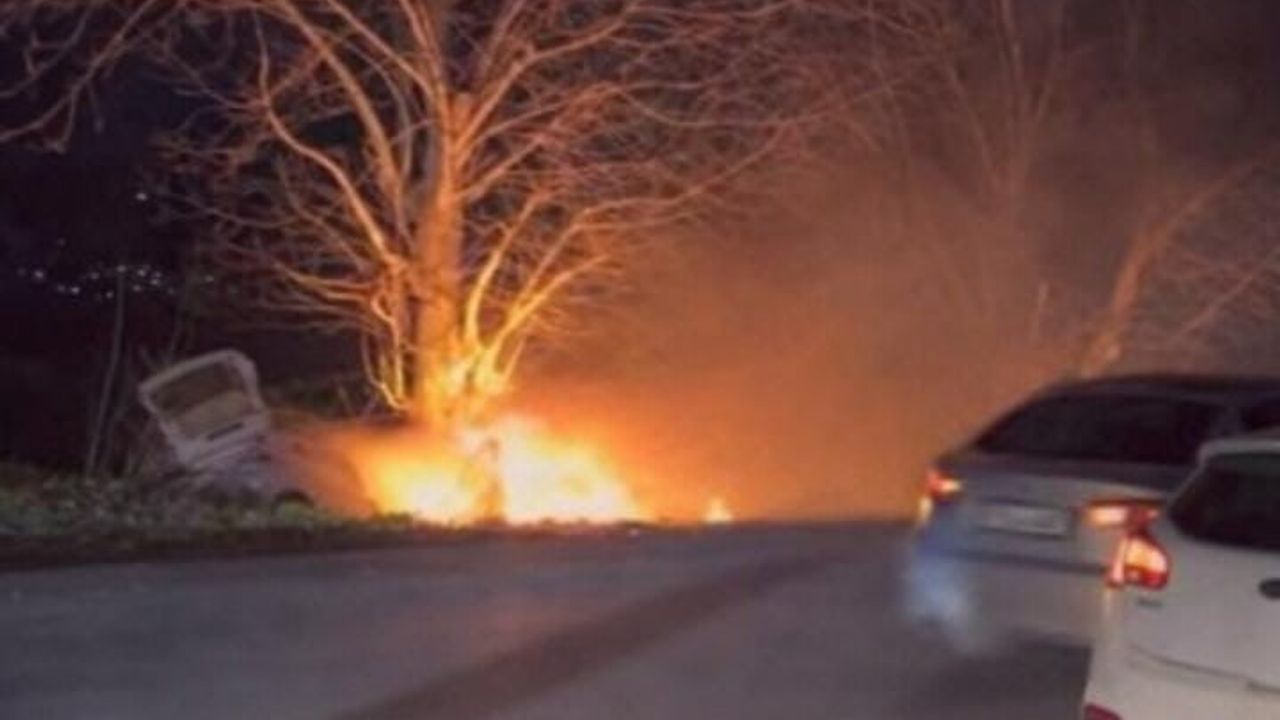 Bursa'da Kontrolden Çıkan Otomobil Ağaca Çarpıp Alev Aldı