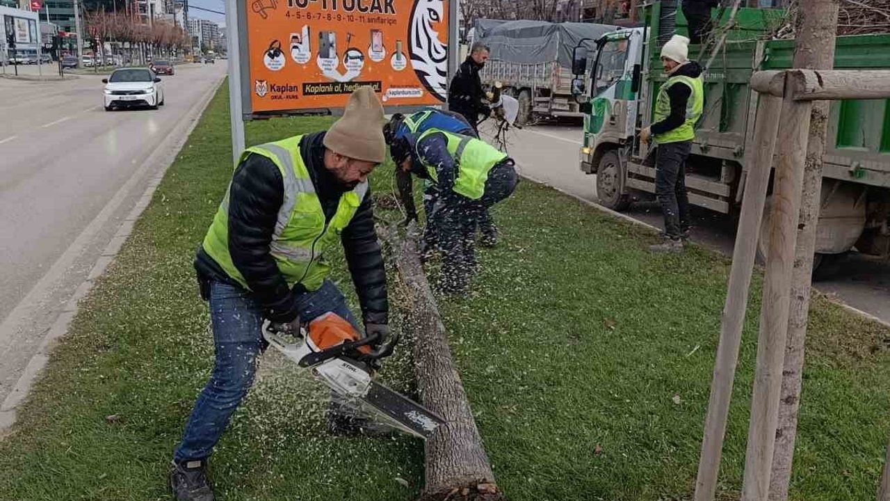 Bursa'da Şiddetli Lodos: Büyükşehir Ekipleri 50 İhbara Anında Müdahale
