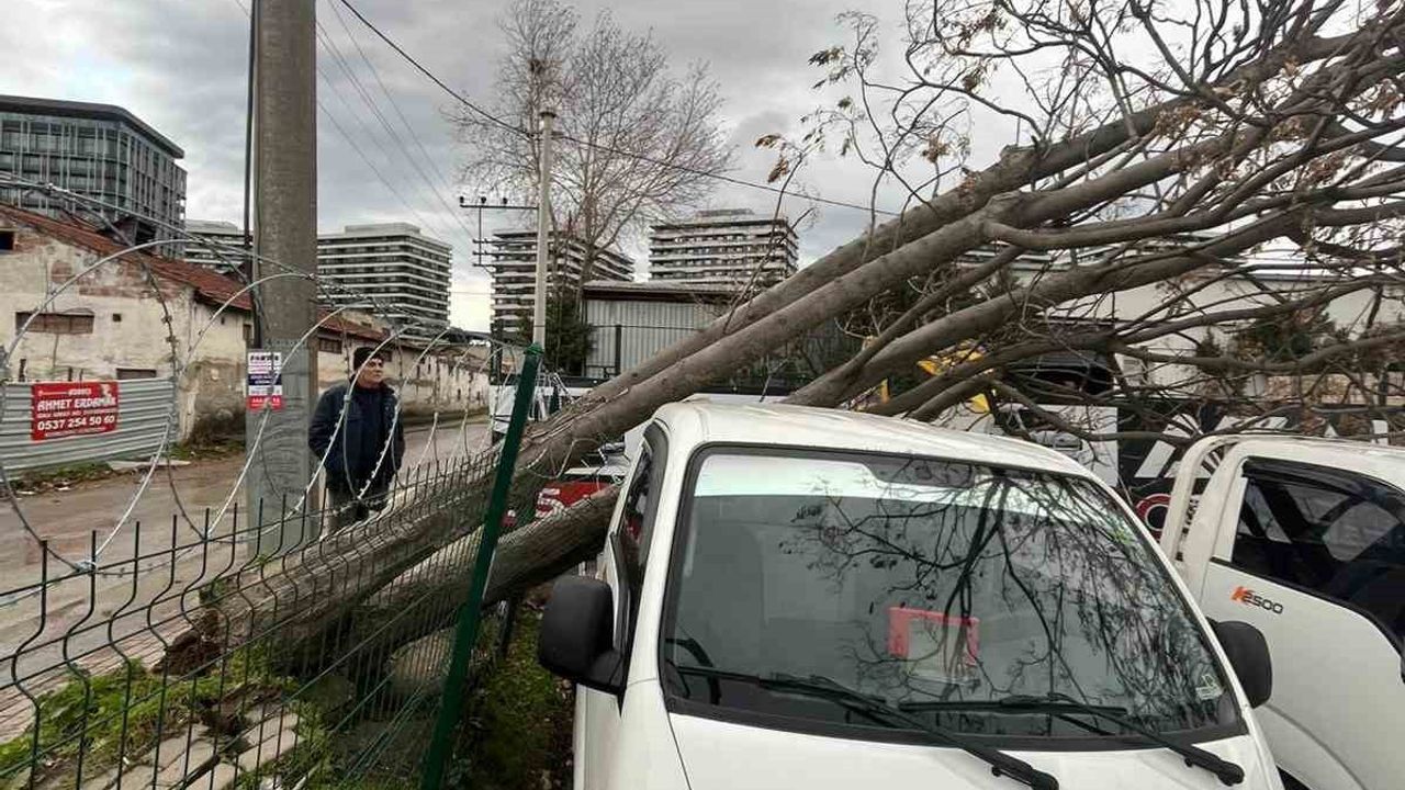 Bursa'da Şiddetli Lodos: Osmangazi'de Devrilen Ağaçlara Anında Müdahale