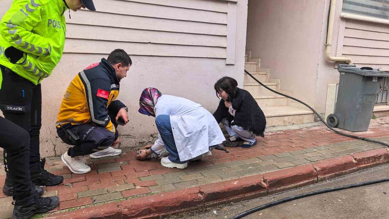 Bursa İnegöl'de Yangın: Çocuklar Tahliye Edildi, 2 Kedi Öldü