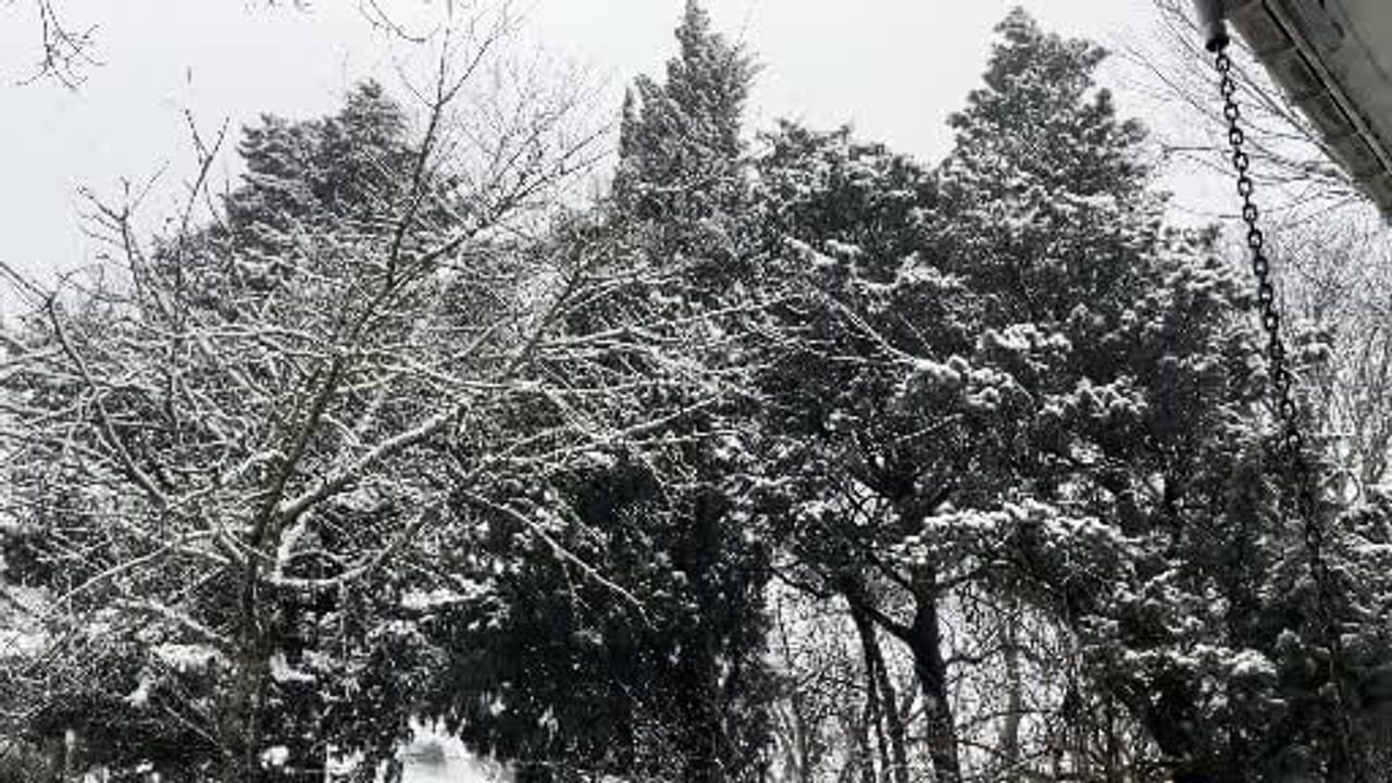 Çamlıca'da Kartopu Coşkusu: İstanbul Beyaza Büründü