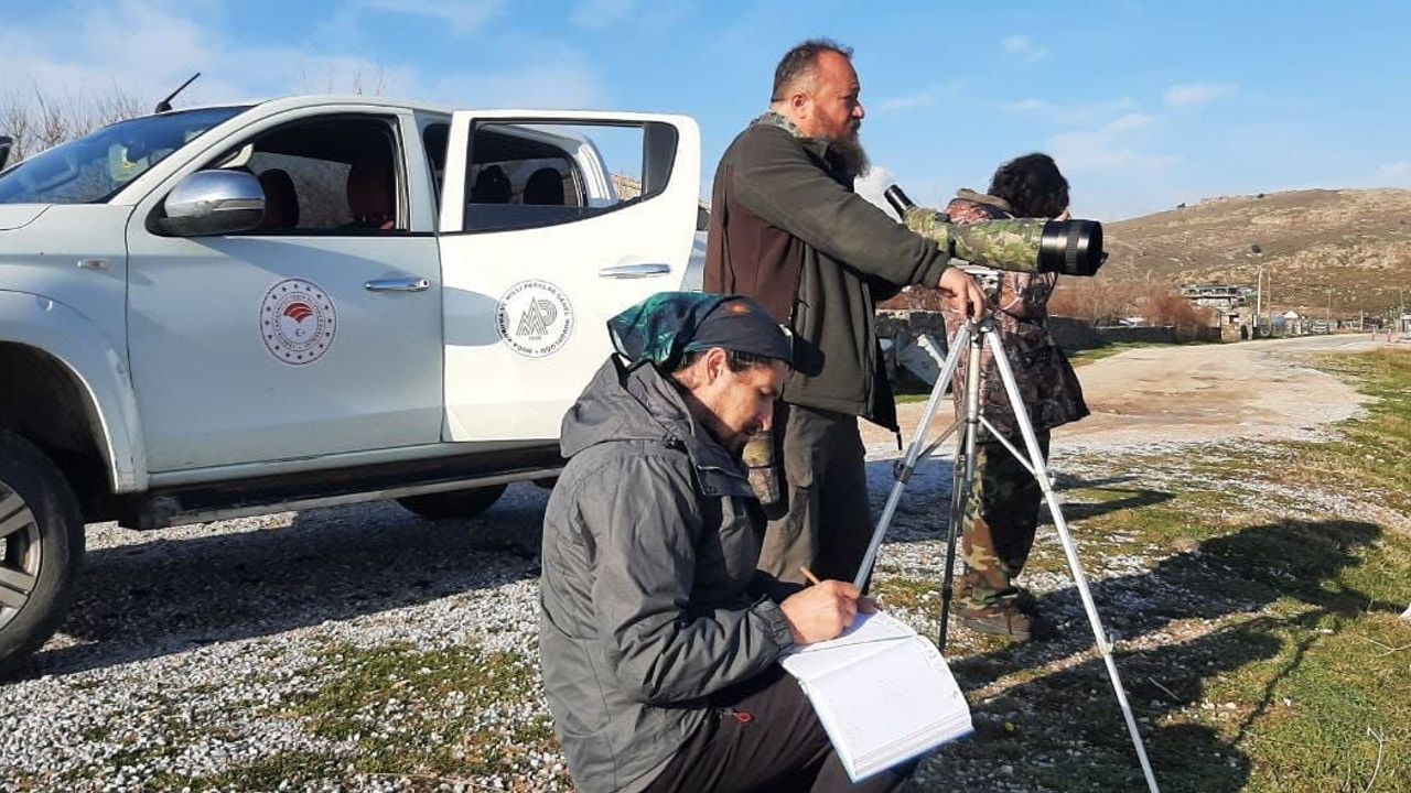 Çanakkale 2026 Kış Ortası Su Kuşu Sayımları: 53 Tür, 15 bin 813 Birey