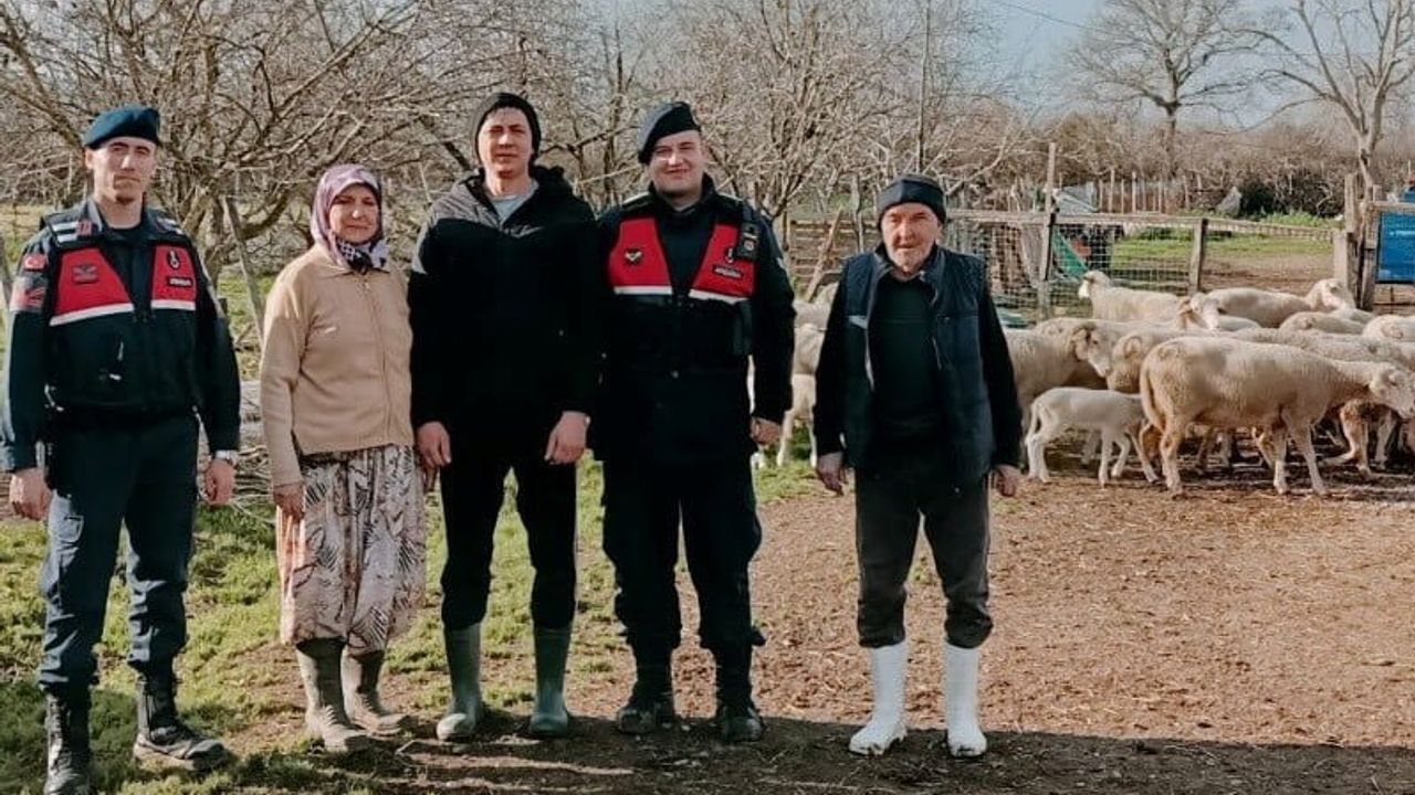 Çanakkale'de 24 Küçükbaş Hayvan Jandarma Tarafından Bulundu