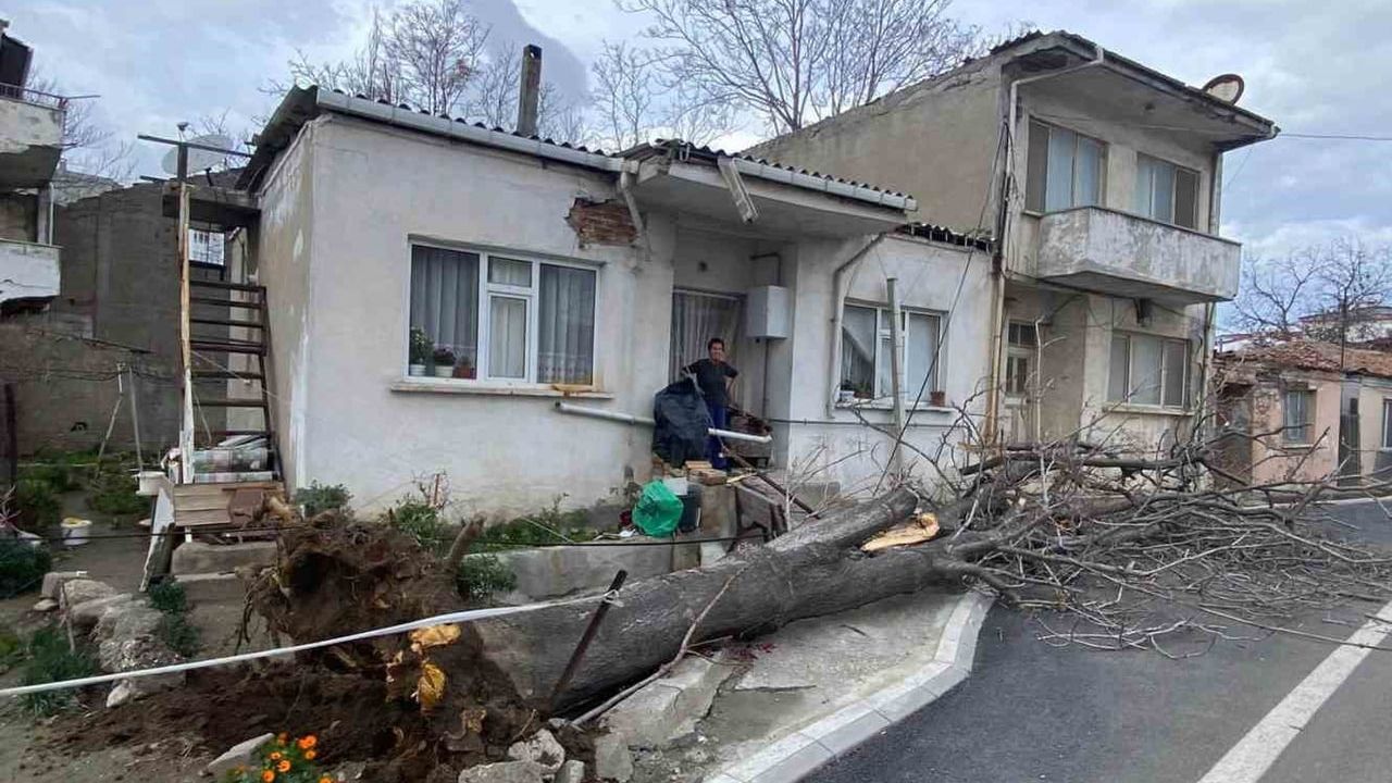 Çanakkale'de Lodos Fırtınası: Gelibolu'da Ağaç Evin Çatısına Devrildi