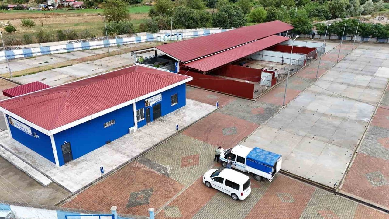 Canik Belediyesi Doğal Yaşam Alanı Sokak Hayvanlarına Kucak Açtı