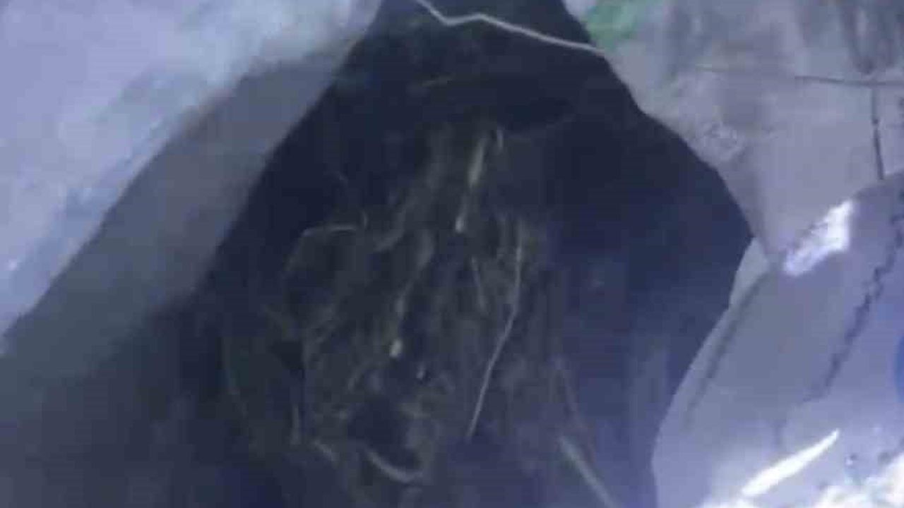 Çarşamba'da Uyuşturucu Operasyonu: 6 Kilo 230 Gram Kubar Esrar, 1 Gözaltı