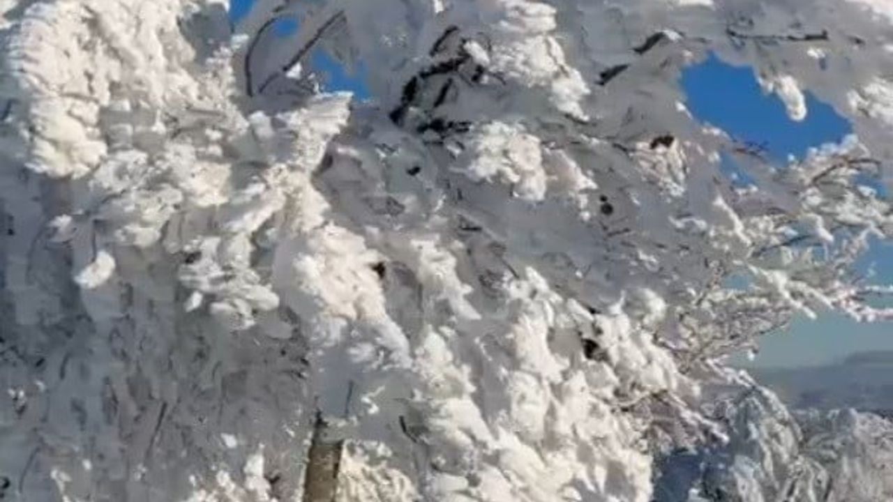 Çataldağ Sibirya'yı Andırdı: Balıkesir Susurluk'ta Donmuş Zirve