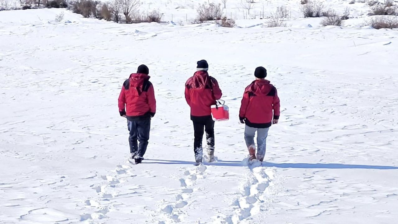 Çemişgezek'te Kar Altında Hayat Kurtaran Veteriner Hekimler