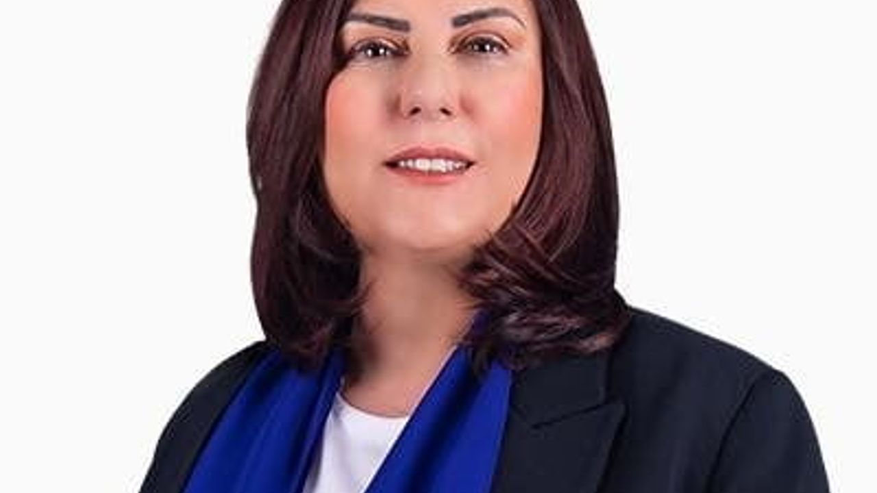 Çerçioğlu'dan Özel'e Suç Duyurusu