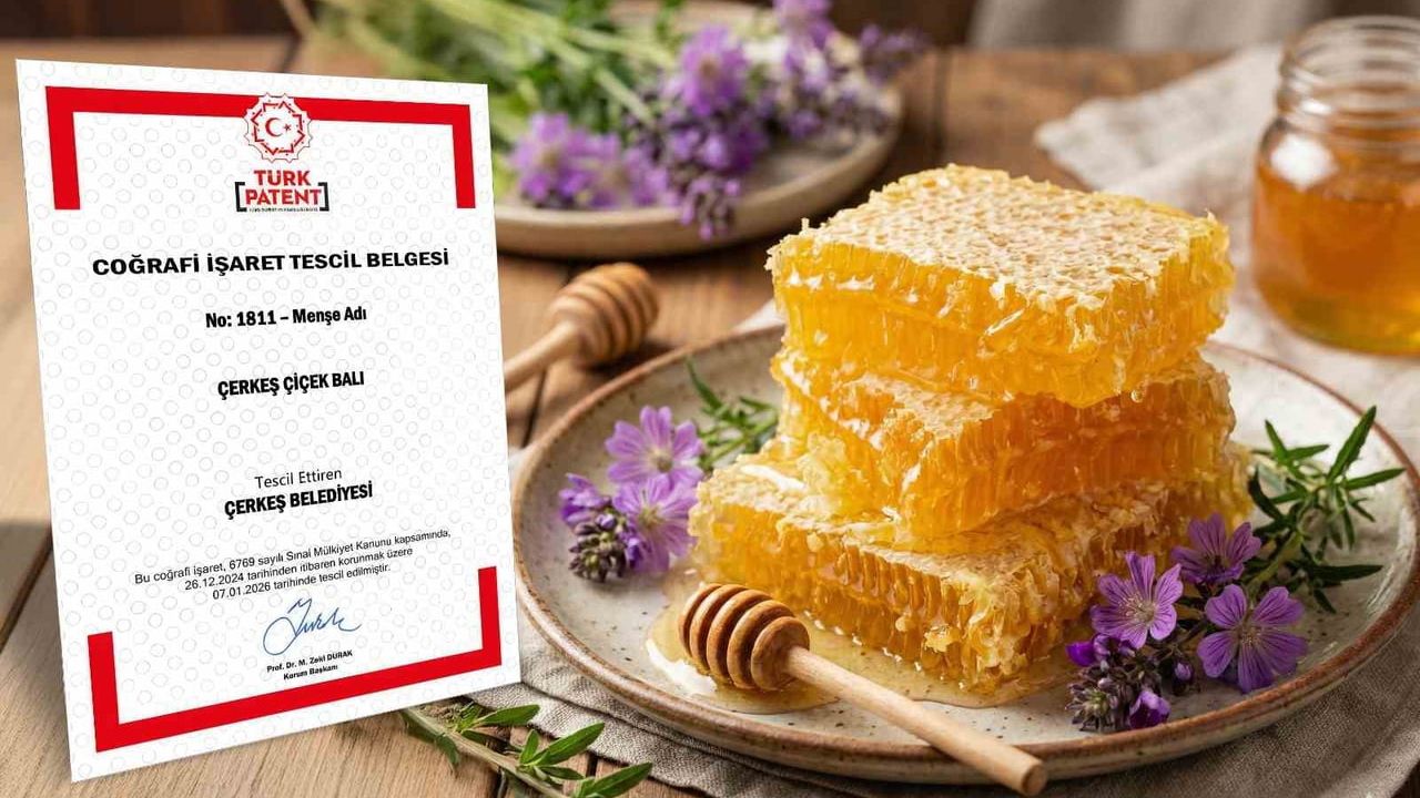 Çerkeş Çiçek Balı'na Coğrafi İşaret Tescili