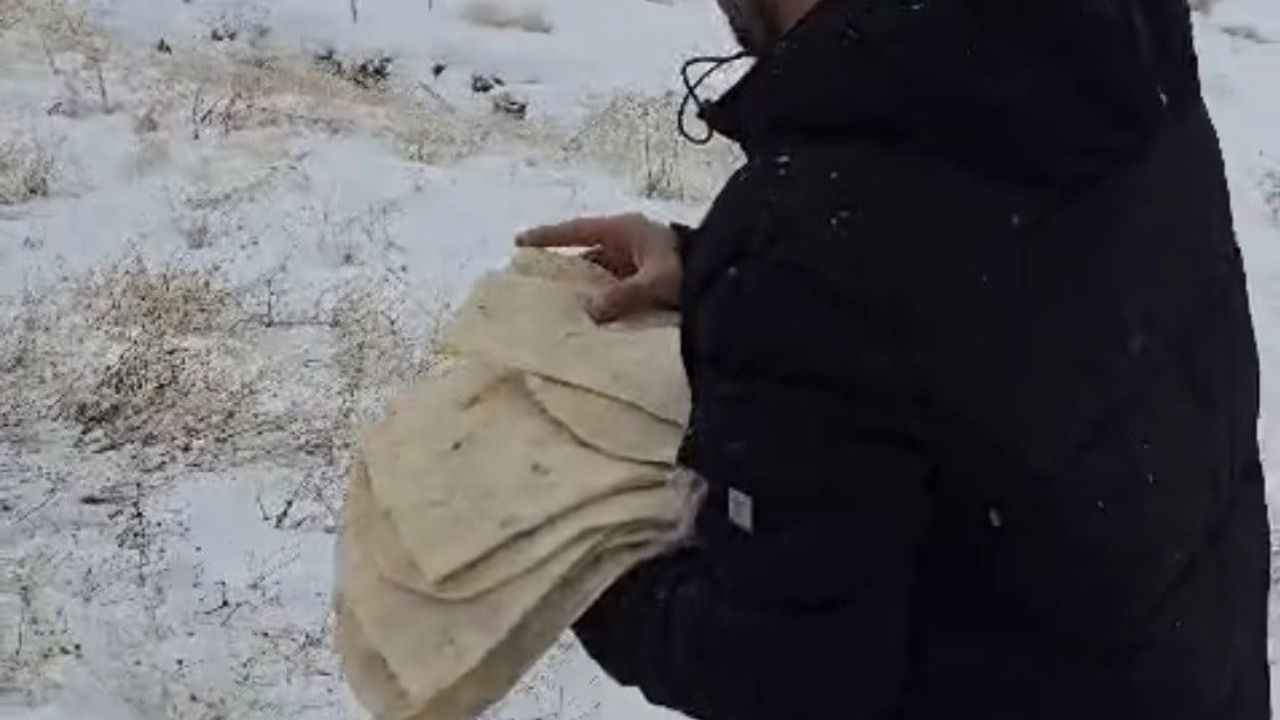 Çermik'te Kar Altında Örnek Davranış: Yaban Hayvanlarına Yem Bıraktı