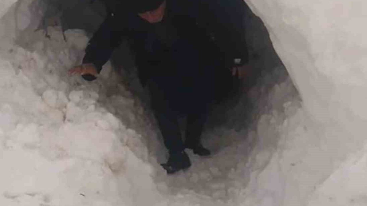 Çınar'da Kardan Kapanan Ahıra Tünel Açarak Girdi