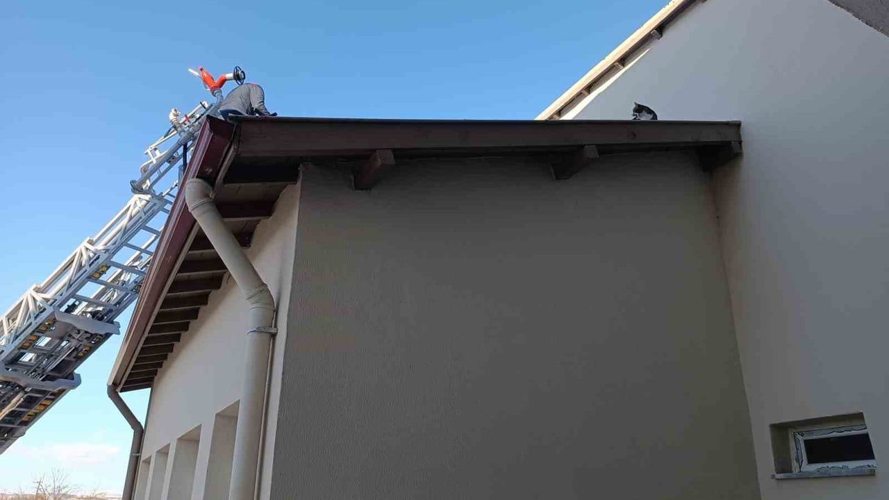 Çorum Alaca'da İtfaiye Çatıda Mahsur Kalan Kediyi Kurtardı