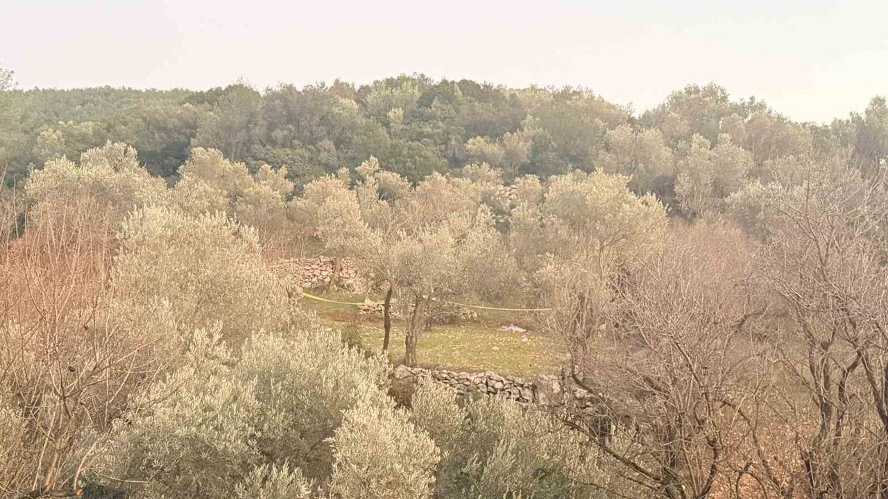 Datça'da tarlada fenalaşan 72 yaşındaki Abdurahim Varışoğlu hayatını kaybetti