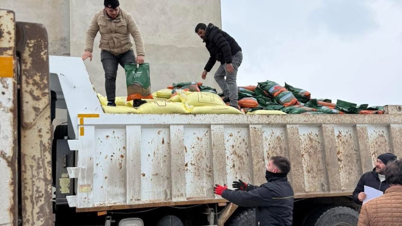 Demirözü'de 210 Çiftçiye Yüzde 100 Hibeli Tarımsal Destek