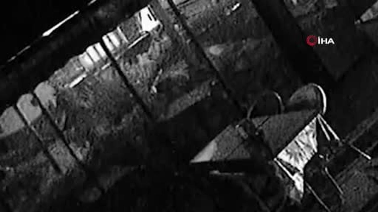 Deniz İbişler'in Beşiktaş'ta Denize Atladığı Görüntüler Ortaya Çıktı