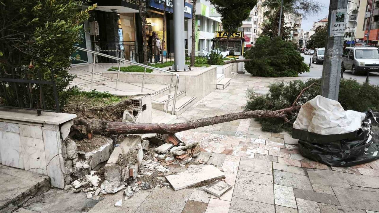 Denizli’de Şiddetli Rüzgar: Çatılar Uçtu, Ağaçlar Devrildi