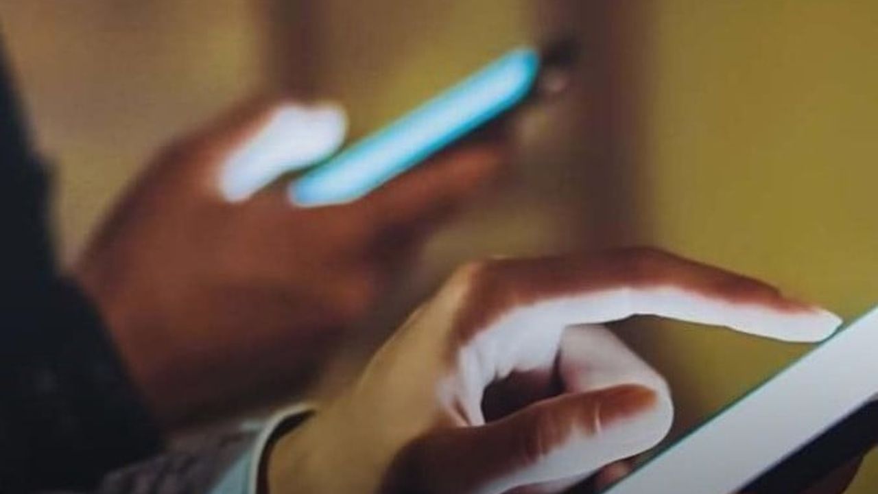 Denizli'de Yanıltıcı Sosyal Medya Paylaşımına Soruşturma: Köpeğe Şiddet Videosu İddiası