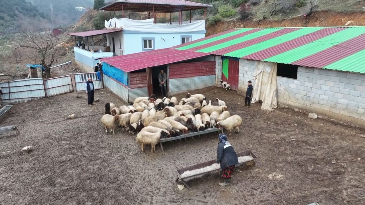 Depremzede Besici Kadir Aslan Devlet Desteğiyle Hayvancılığa Döndü