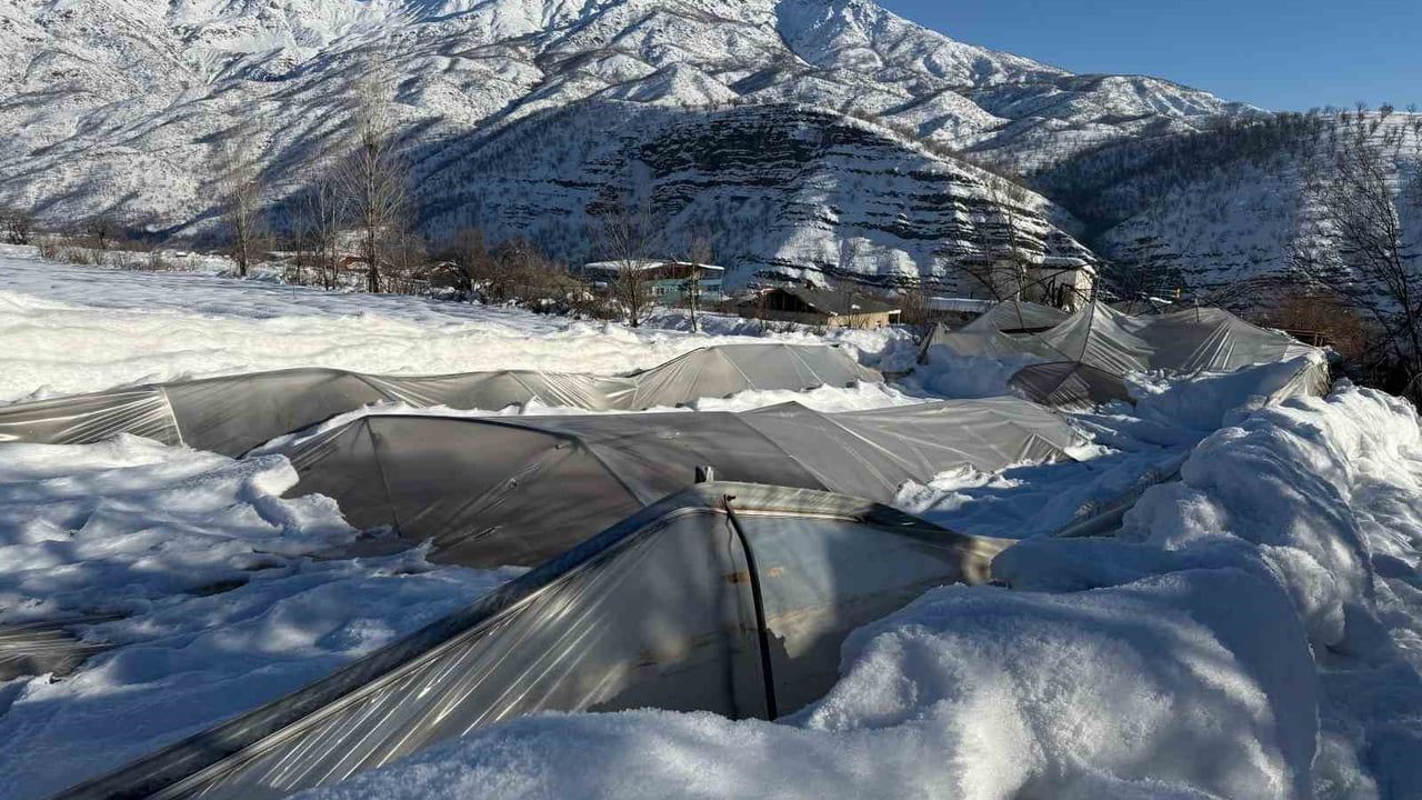 Derecik'te Kar Sera Hasarına Yol Açtı: 38 Sera Kullanılamaz Hale Geldi