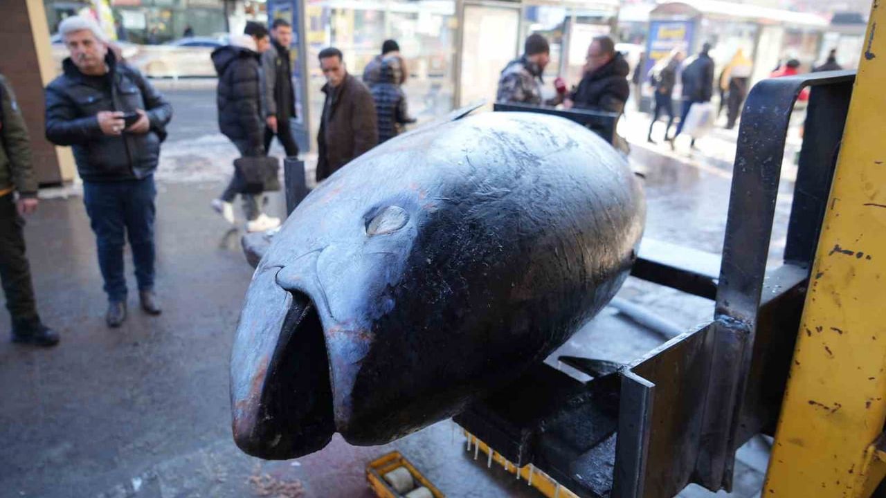 Dev Orkinos Erzincan’da Tezgâhta: 365 Kiloluk Balık Kilosu 500 TL