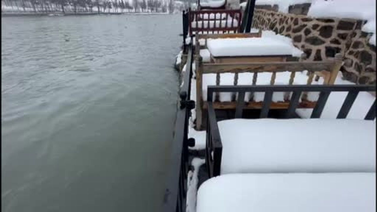 Dicle Nehri'nde Su Seviyesi Yükseldi — Diyarbakır'ta Yoğun Kar ve Karabaş Martıları