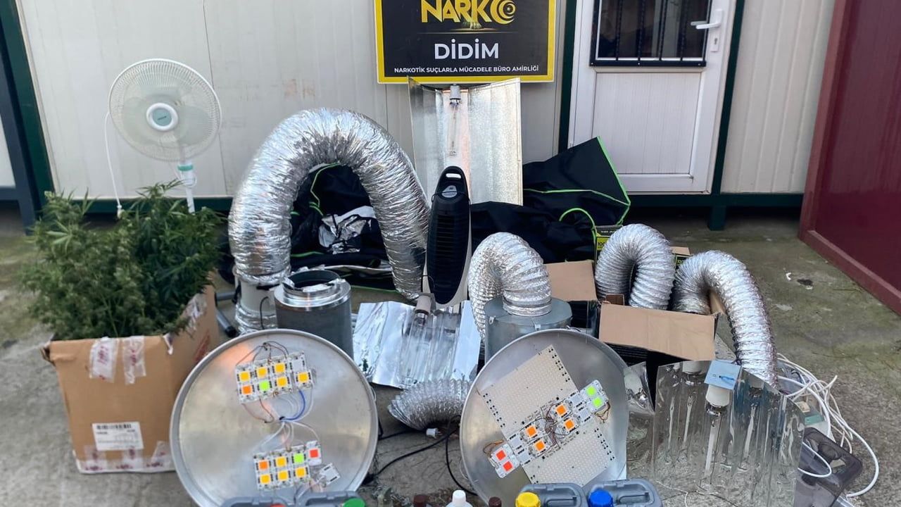 Didim'de Uyuşturucu Operasyonu: Kenevir Yetiştirme Kabini Ele Geçirildi