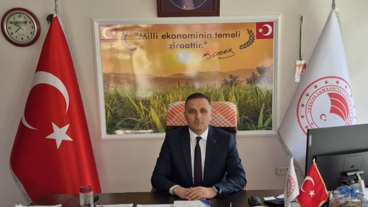 Dinar'da Çiftçilere yüzde 50 Hibeli Çerezlik Ayçiçeği Tohumu Dağıtılacak