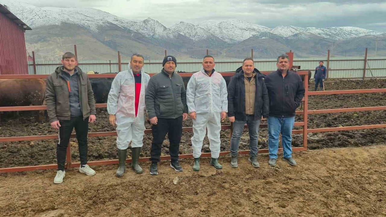 Dinar'da İthal Hayvan Besiciliğine Yoğun Denetim