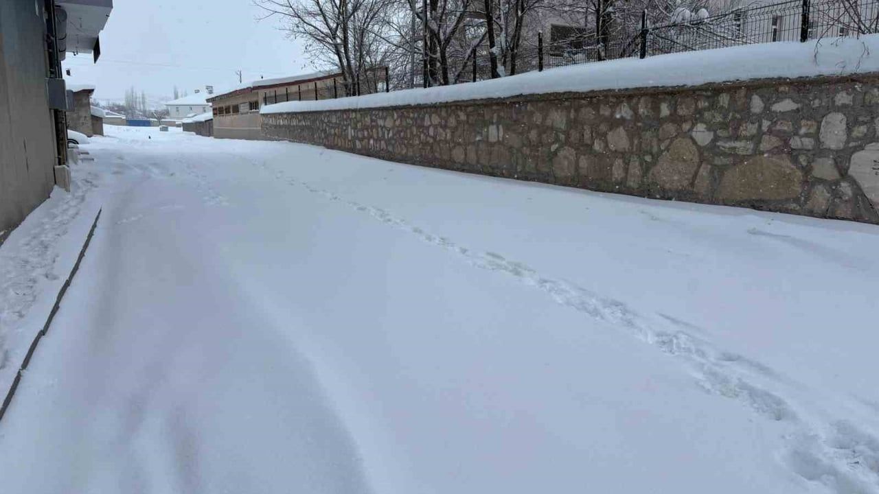 Diyadin'de Yoğun Kar Ulaşımı Aksatıyor