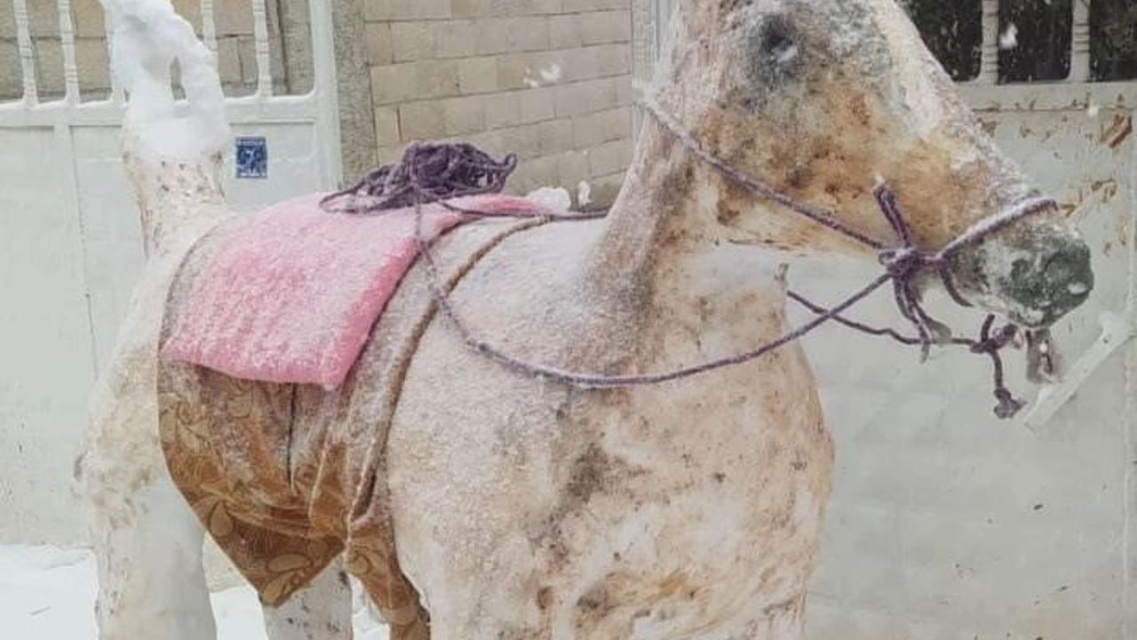 Diyarbakır Çermik Kardan Adam Yarışması: Kazananlar Belli Oldu