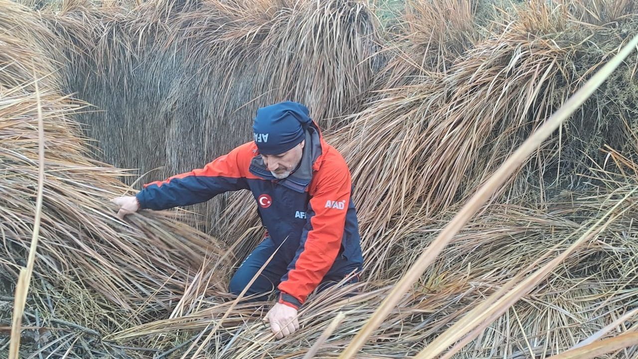Diyarbakır Çınar'da 10 gündür kayıp Nimet Kılıç için 379 kişi arıyor