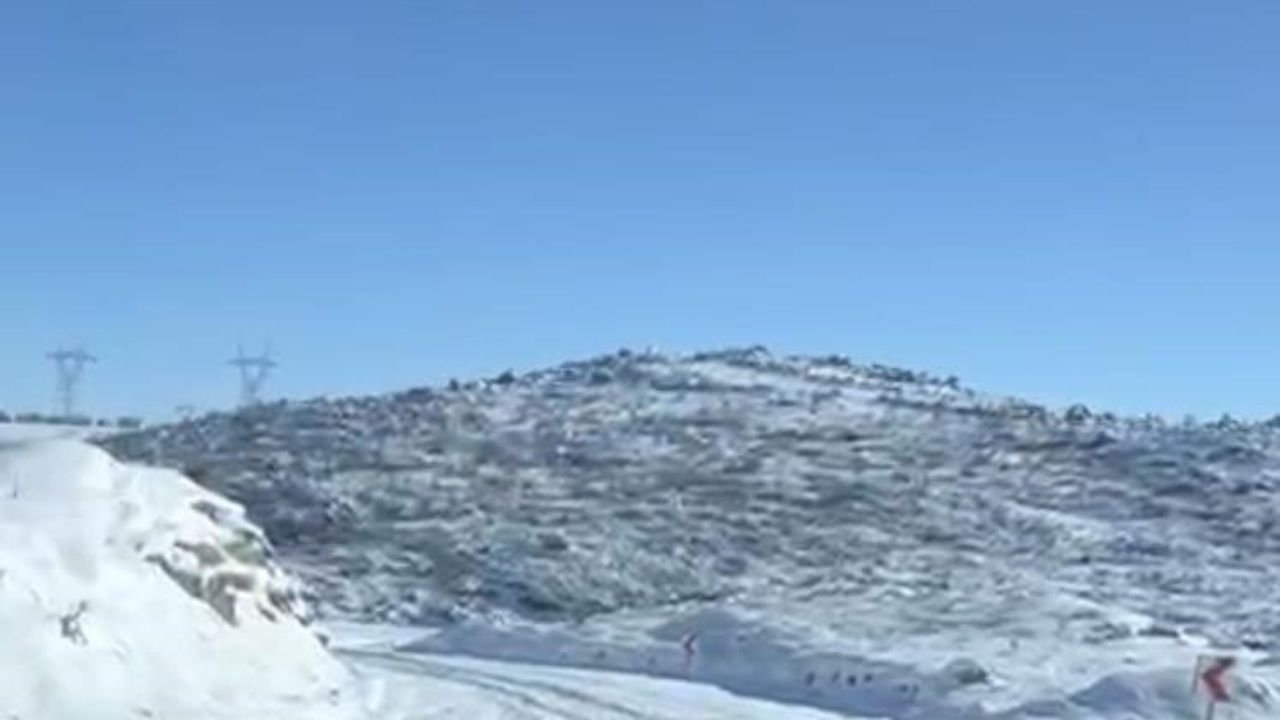 Diyarbakır'da Çermik ve Çüngüş'te Kurt ve Domuz Sürüleri Yerleşimlere İndi