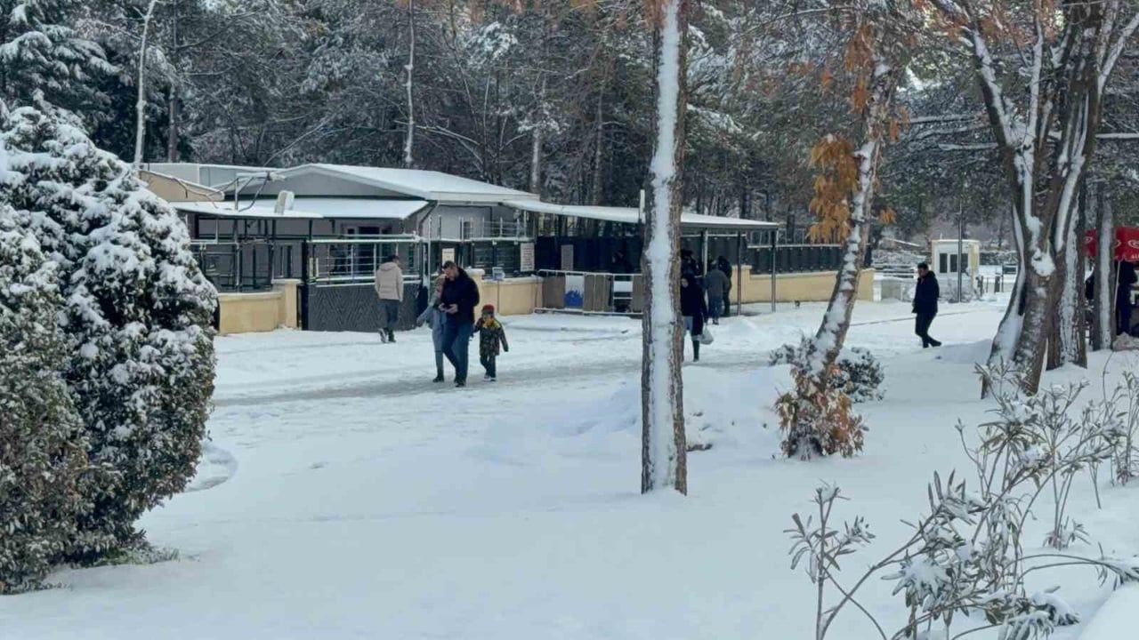 Diyarbakır'da Kar Çileye Dönüştü: Yollar Buz Pistine Döndü