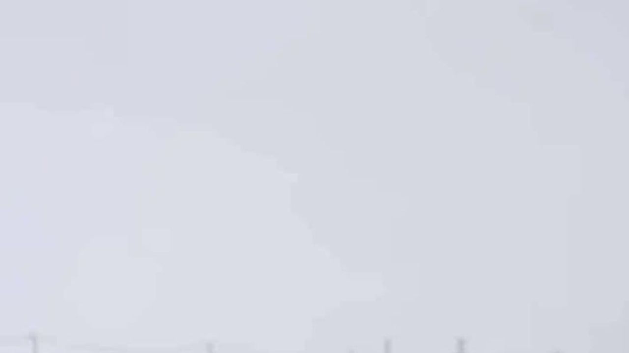 Diyarbakır'da Kurtlar Yerleşimlere İndi: Katin Mahallesi'nde Görüntülendi