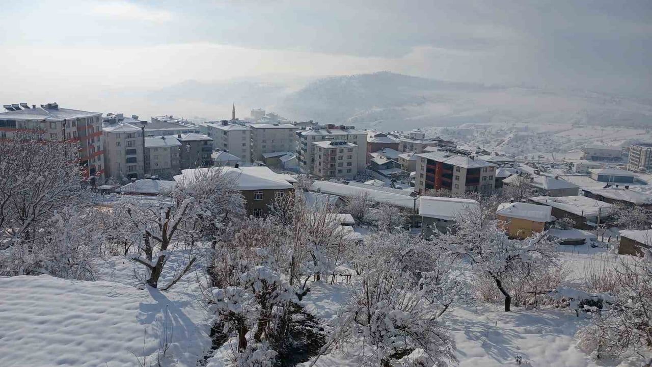 Diyarbakır Kulp'ta Kar Manzaraları: İlçe Merkezi Buz Tuttu