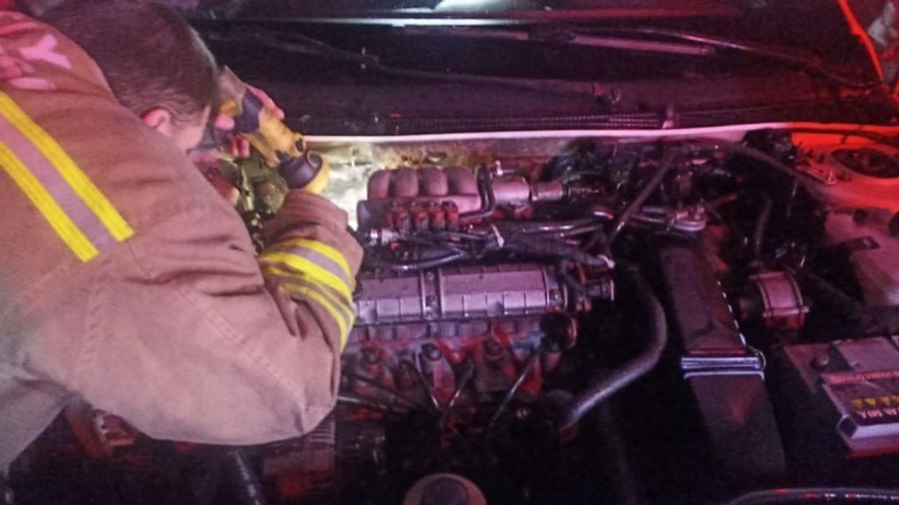 Dörtyol'da Otomobil Yangını: Pekmezci Yaylası'nda Motor Alevlere Teslim Oldu