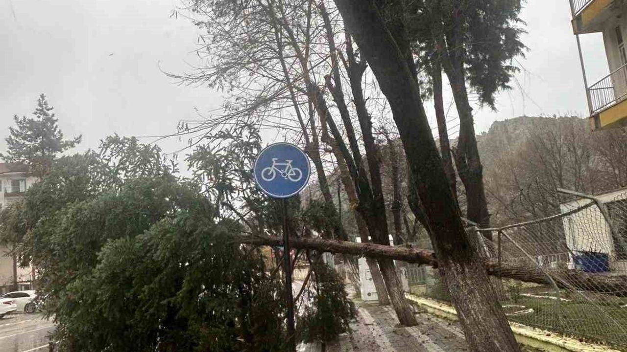 Dursunbey'de Öğle Fırtınası Çatıları ve Ağaçları Uçurdu